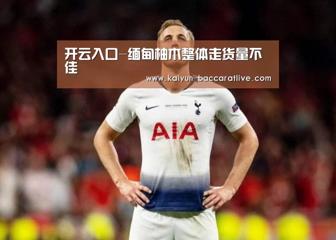 开云官网