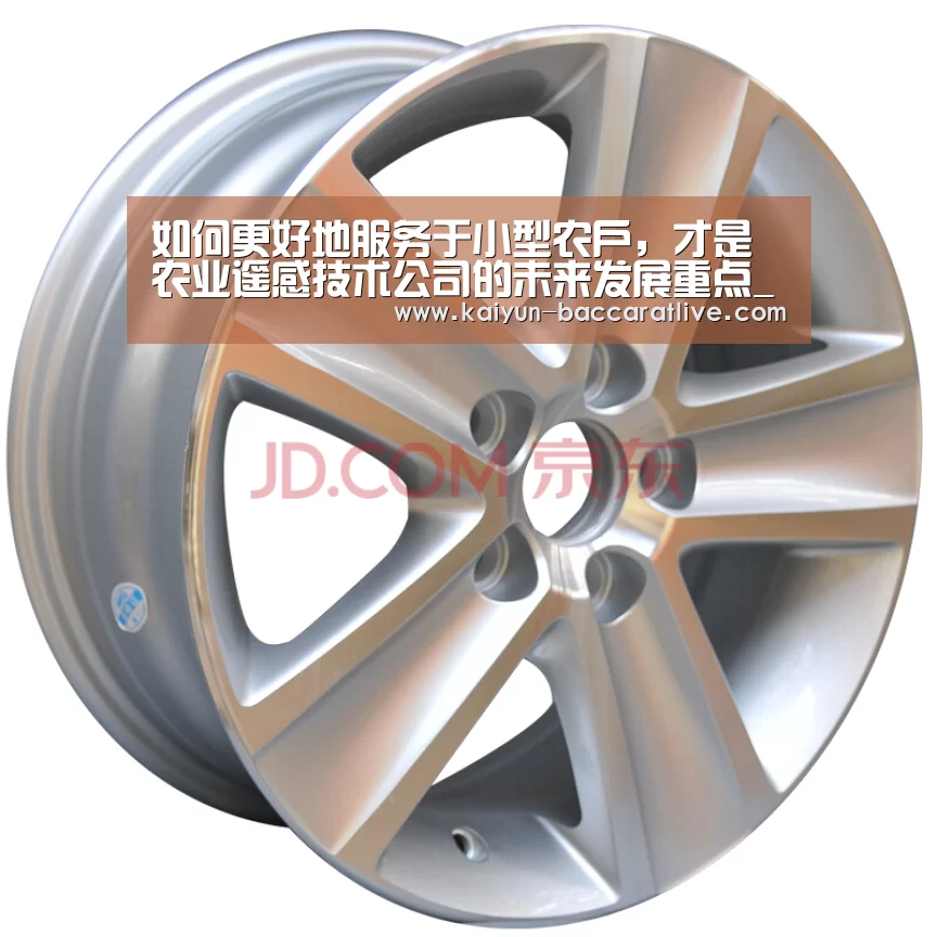 开云入口