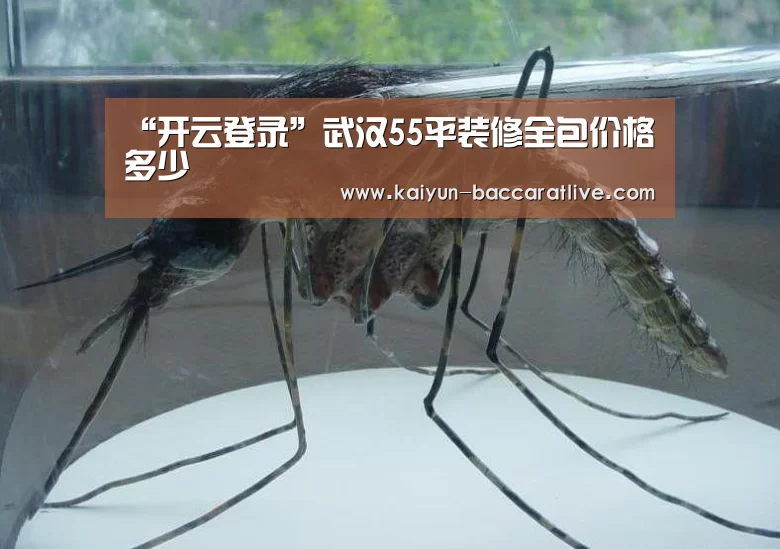 开云登录