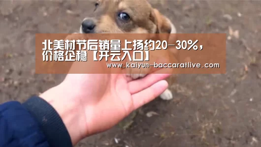 开云入口