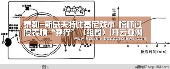 开云亚洲