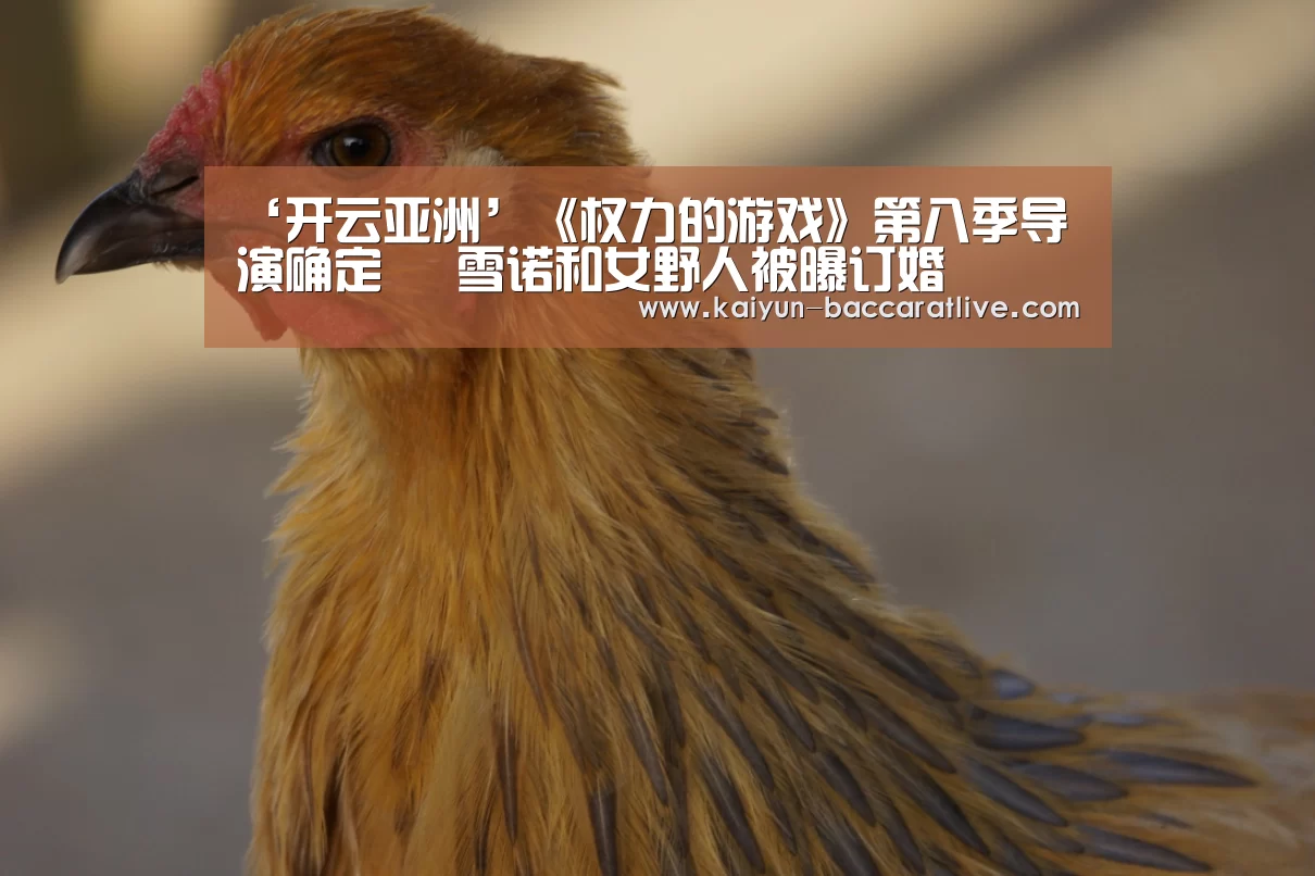 ‘开云亚洲’《权力的游戏》第八季导演确定 囧雪诺和女野人被曝订婚(图1) 开云官网